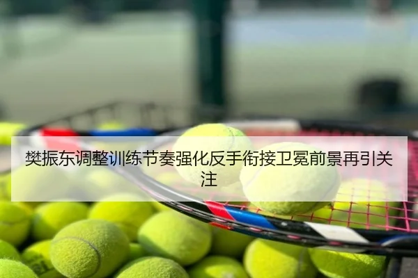 樊振东调整训练节奏强化反手衔接卫冕前景再引关注